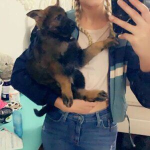 Navy & Green Cropped Winbreaker/Rain Coat